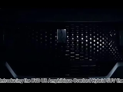 Reisefahrzeuge mit Rechtslenkung BYD Dolphin Hatchback